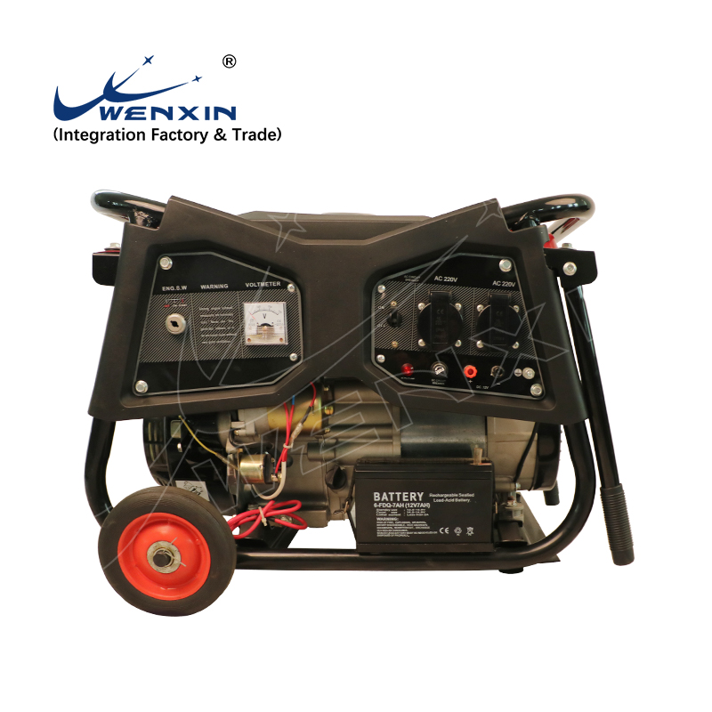 GASOLINE KNAPSACK SPRAYER WX-767B